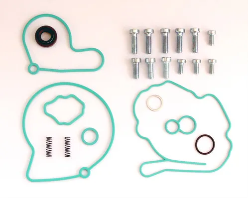 Repair Kit, vacuum pump (brake system) AUDI/VW/SEAT/SKODA/1.9TDI/2.0 TDI