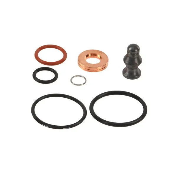 Seal Kit, injector nozzle GOLF IV-V -T5- POLO AVF-ASY-BJB-BRU(434650)